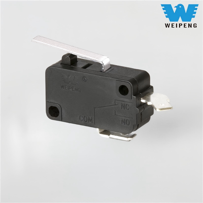 10A 250V Car Wash Machine Micro Switch
