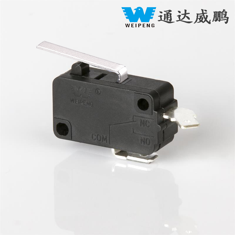 10A 250V High-Voltage Car Wash Machine Micro Switch