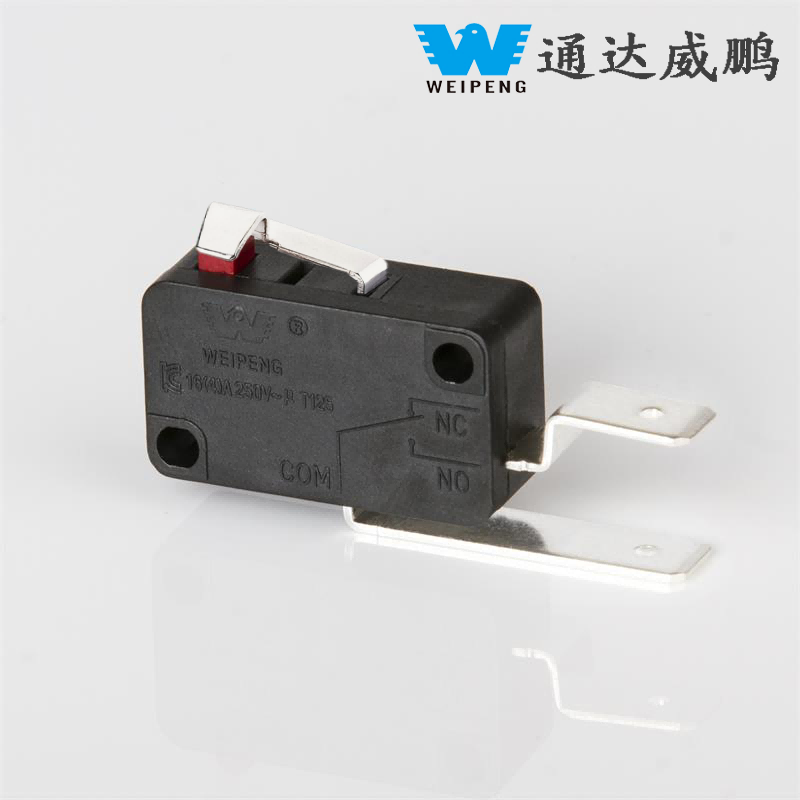 16A Iron Pin/Copper Pin Micro Switch Home Appliance Accessories