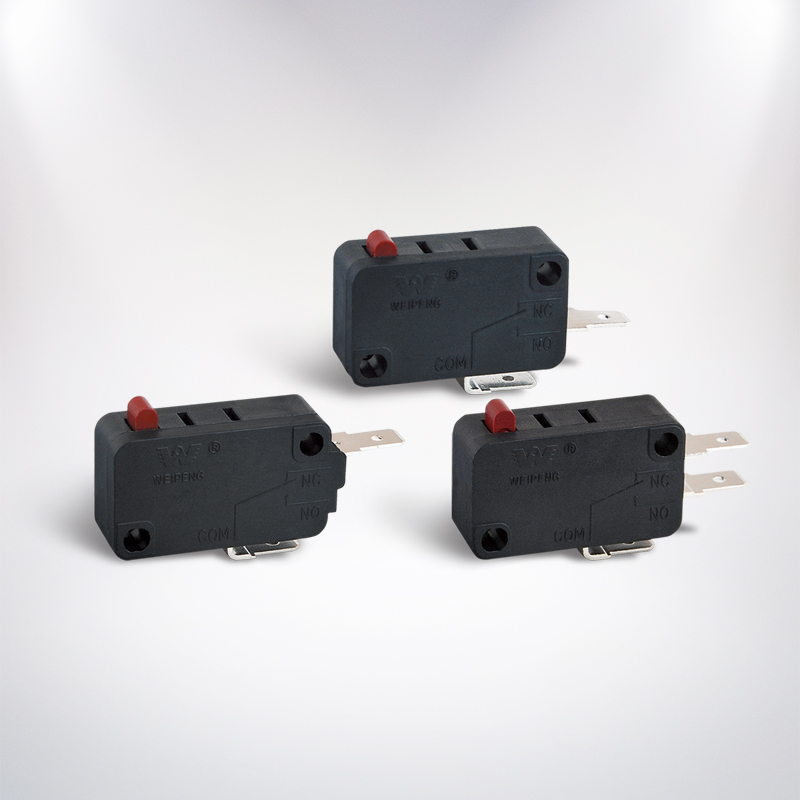240V Micro Switch Carries 
