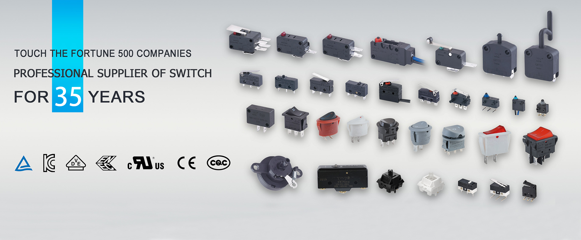 Classification and Uses of Micro Switch Types