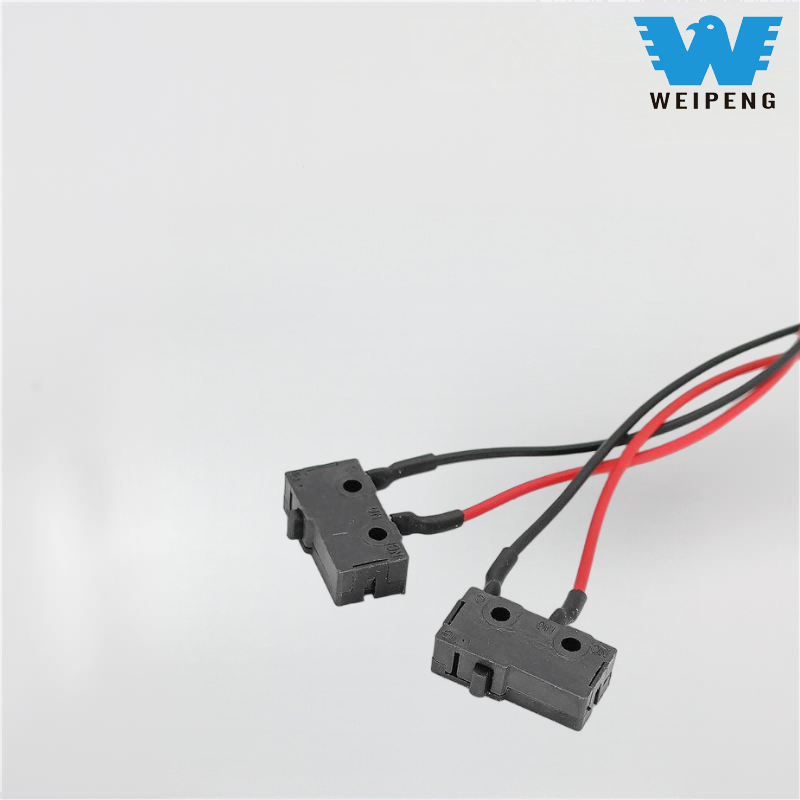 5A High-Temperature Resistant Smart Home Appliance Micro Switch
