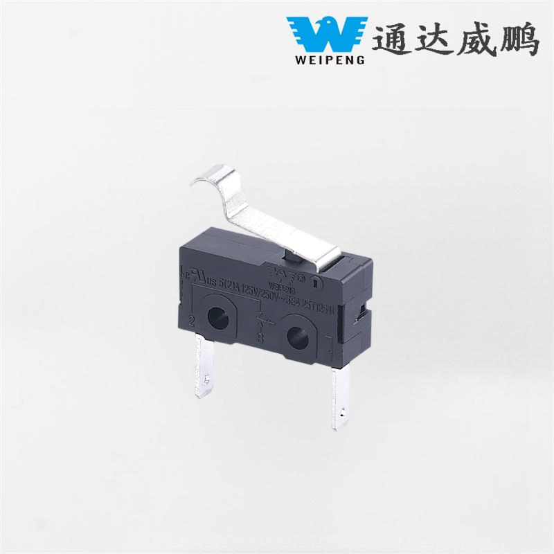 HK-04G-L Dustproof 5A 2-Pin Automotive Charging Station Micro Switch