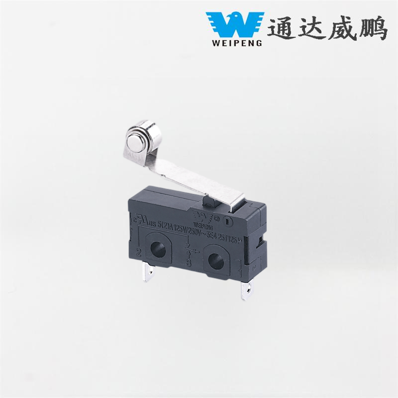 HK-04G-L Dustproof Roller Lever Beater Micro Switch