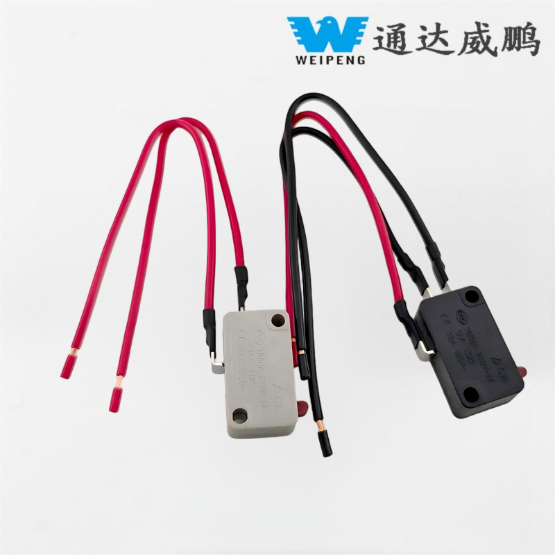 Micro Switch with Wire for Car Washing Machine
