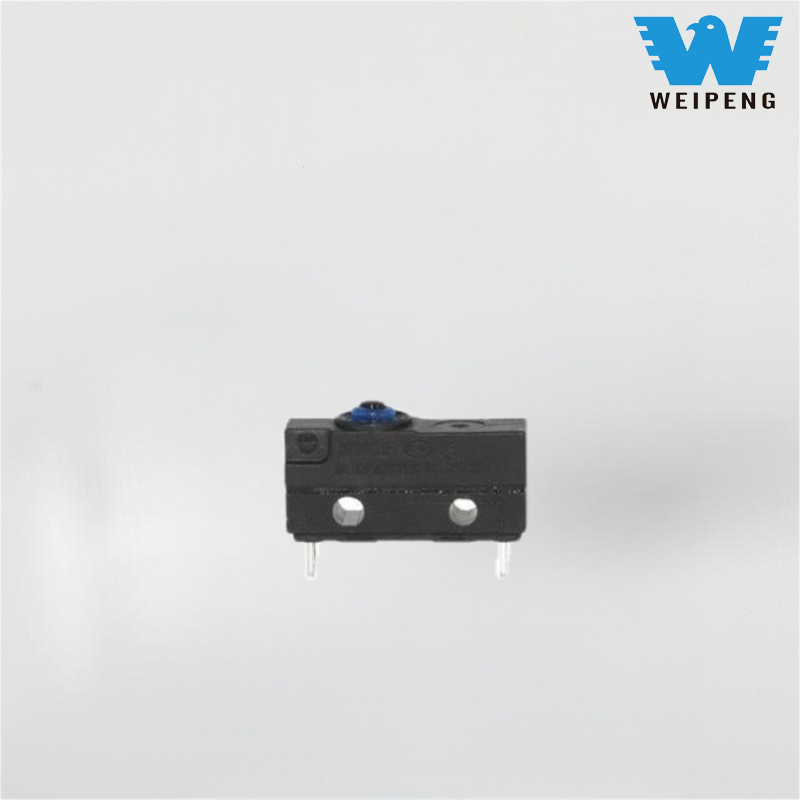 Production of Electric Vehicle Charger Small Ordinary Waterproof Micro Switch