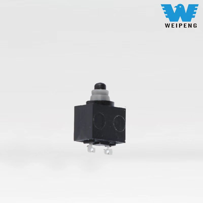 Waterproof micro switch two-legged