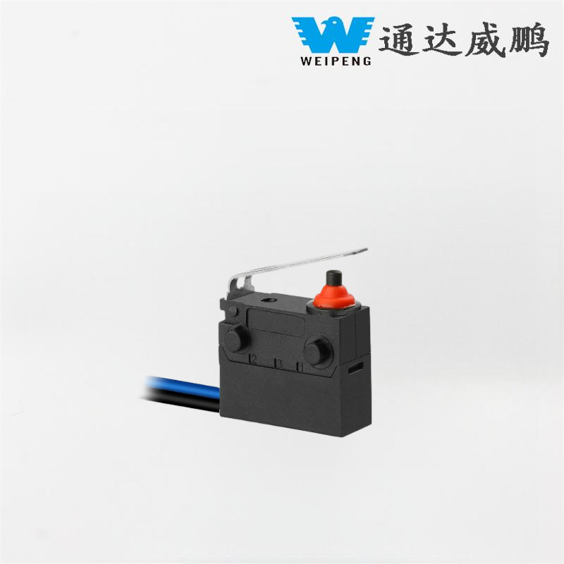 Waterproof Micro Switch with Positioning Post Actuator
