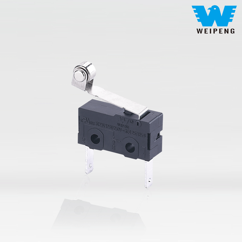 Weipeng Dust-Proof 5A 2-Pin Car Charging Pile Micro Switch